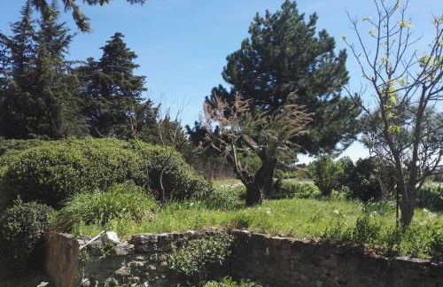 Mas de "La Garcine" - Foto 39