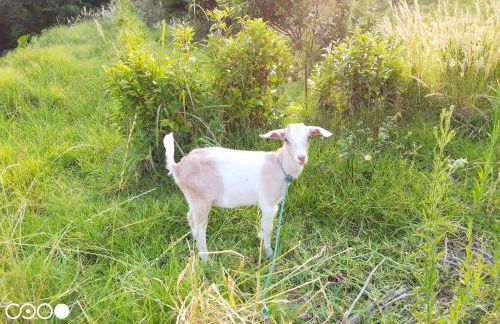 Quinta da Maria - Foto 57