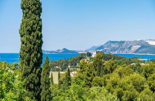 Villa Alegria Cavtat - Comfort Two Bedroom Apartment with Sea View Apartment C - Foto 36