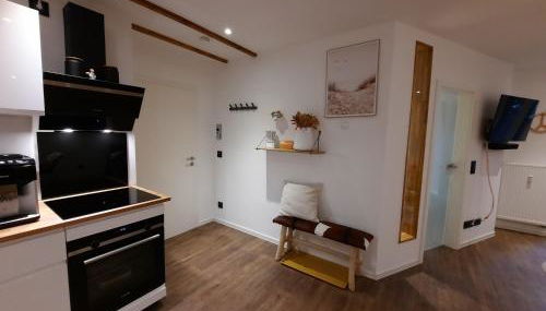 Lachmöwe by DeJu -4 Sterne DTV-Klassifizierung- - Foto 2