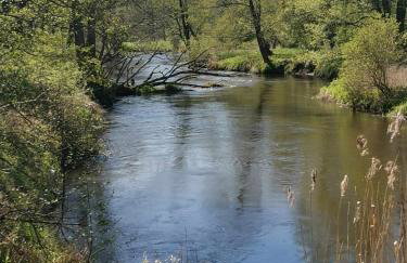 Dom za wydmą - Foto 41