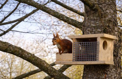 Lake House Relax&Spa Linowo - Foto 17