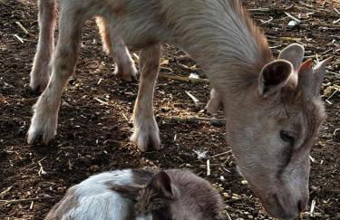 Gîte Côte de Nacre, 4 à 6p, La Ferme de Valambray - Foto 14