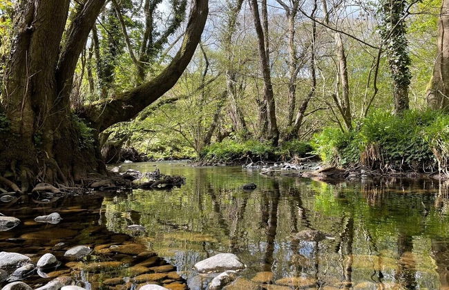 Crib Goch Cozy Dog-friendly Cabin Retreat - Photo 13