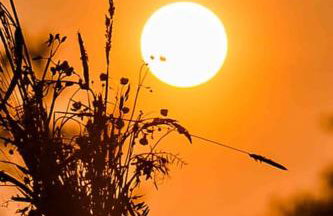 Chata Buena Vista - Photo 32