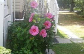 Large Space Great for Groups & Families - Foto 18