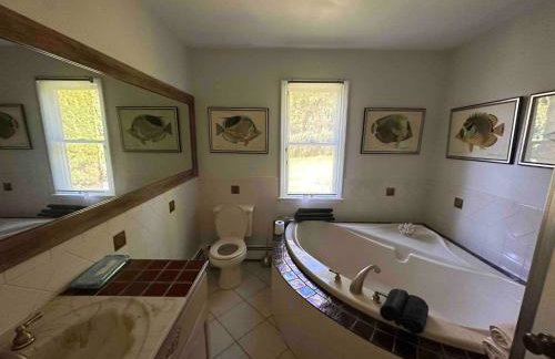 Beautiful Private Room Near Stony Brook University - Foto 12