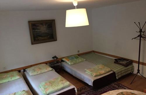 Agropensjonat Tramp z góralskim spa - Foto 10