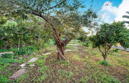 Casa La Victoria - Foto 28