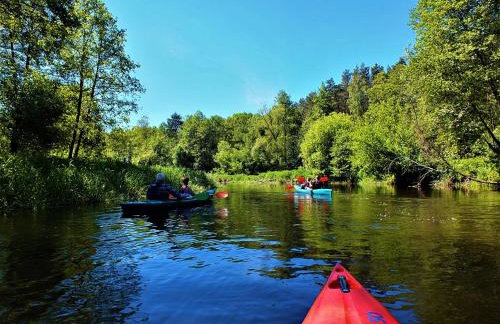 Sumówko Leśne Siedlisko - Foto 16