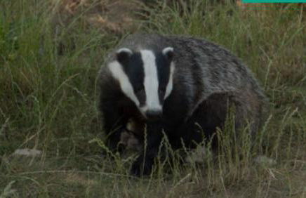 Monasteriohome Apto3 - Photo 26