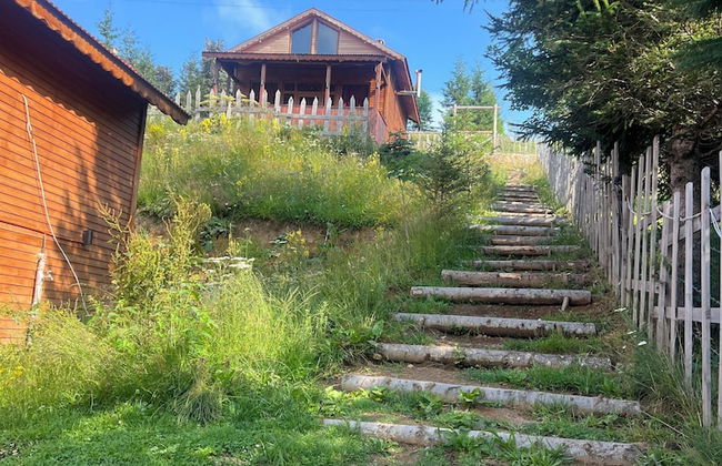 Ny Çambaşı - Foto 67