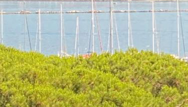 Il Nido d'amare - Foto 3