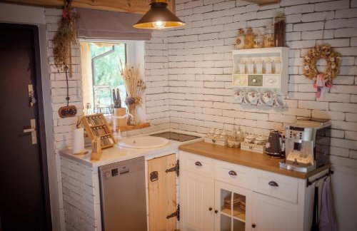 Niezapominajka - Foto 9