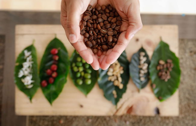 Hacienda Boutique Santa Rosanna - Foto 24