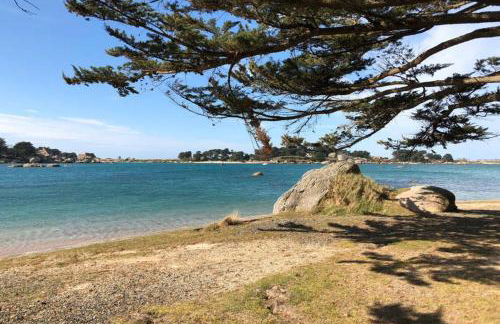 Maison avec SPA côte de granit rose - Foto 35