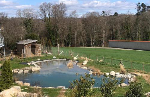 Klosterblick - Foto 18