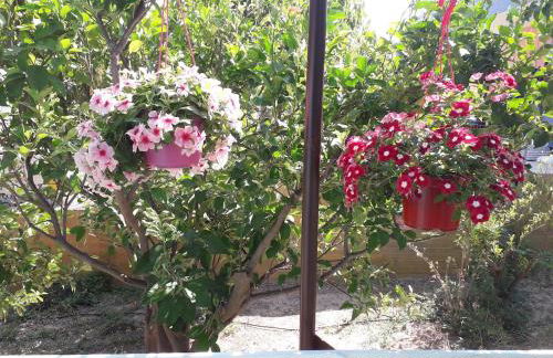 Painter's house by the beach - Foto 45