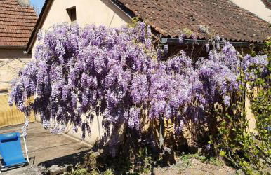 GÎTE DU BOUYSSOU - Foto 27