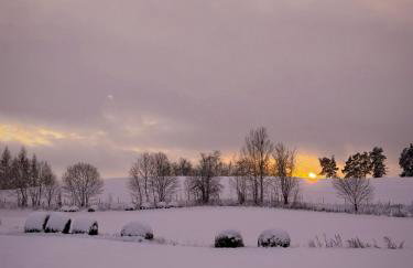 Po Prostu Dobro - Foto 32