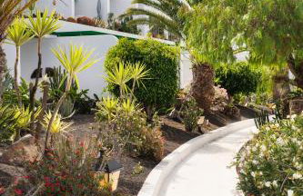 House of the Horizon Playa Las Cucharas VV penthouse with sea & pool view AIRCON - Foto 32