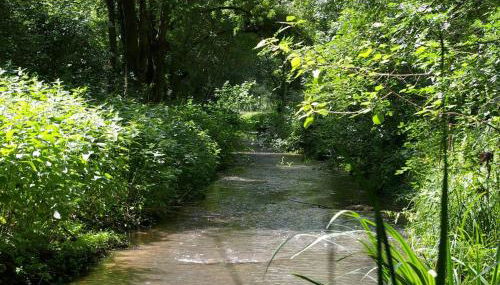 Moulin paisible en Berry avec étang privé, proche du Château de Valençay et Zoo de Beauval - FR-1-591-18 - Foto 5