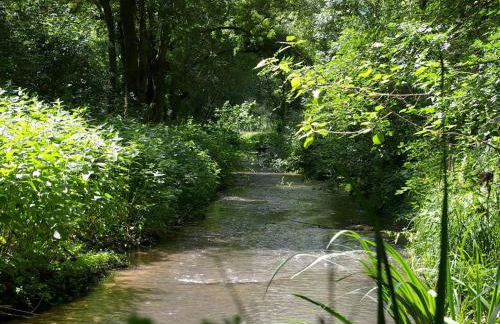 Moulin de Charme au Cœur du Berry, Proche Étang et Châteaux - FR-1-591-769 - Foto 33