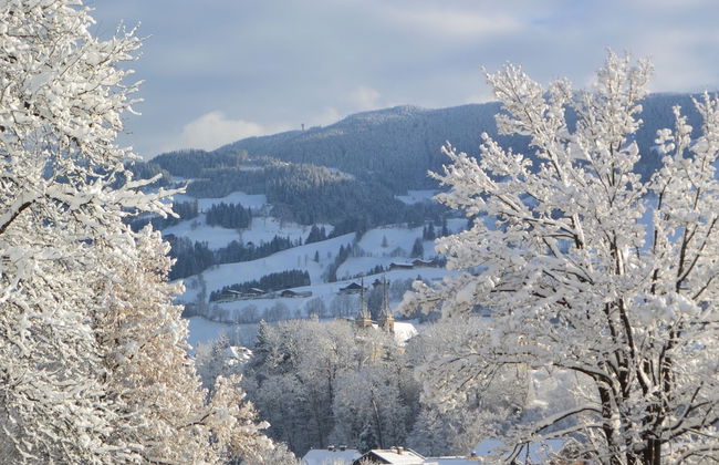 Wieshof Apartments - Foto 64