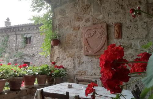 Gerani Rossi - Foto 35