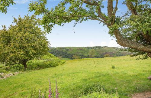 Pyllau Gleision - Photo 2