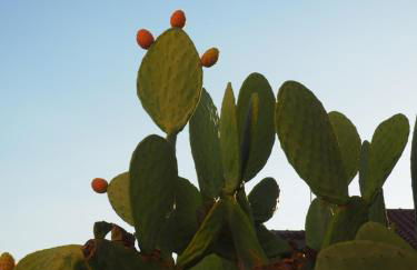 Casa Vacanze Ulisse - Foto 8