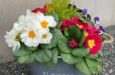 Loughview Lodge - Foto 30