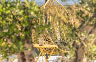 Unique Beachfront Cottage House - Private Garden - Foto 50