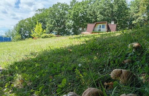 Szumią Dęby - Marcyporęba - Photo 34