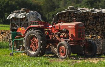 Grünewaldhof in Rimbach im Odenwald - Foto 8
