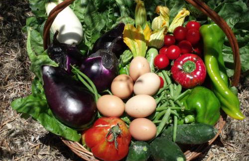 Agriturismo Montereggi - Foto 41