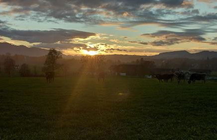 Fewo Gabriela Allgäu - Photo 30