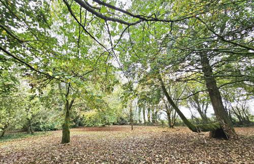 Bluebell Cottage Lurley Manor - Foto 31