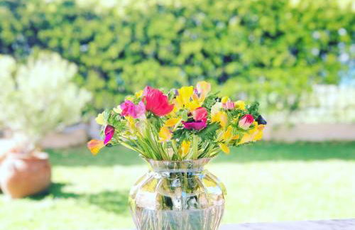 Rio Beach Residence - Foto 37