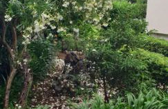 Apartment Luna i Lucky - Foto 37