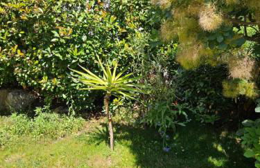 Callian - Très belles Villas, 3 chambres et piscine privée - Foto 52