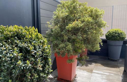 La Bonneterie Appartement de charme avec terrasse - Foto 30