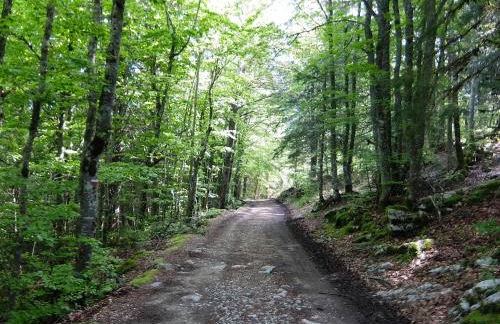 Gite des Rosiers - Foto 25