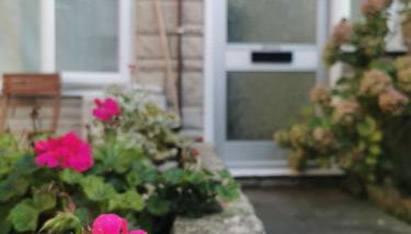 Carpe Diem - Portland Retreat - Foto 2, Garden