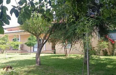 Casa da Floresta - Foto 35