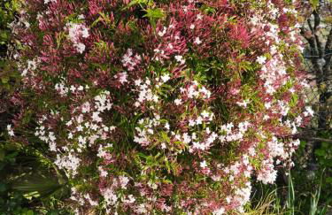 Rez de villa avec beau jardin et belle vue - Foto 17