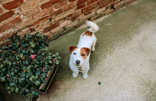 L' antico lavatoio - Foto 48