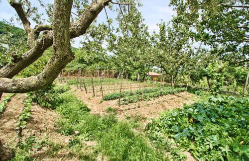 Agriturismo La Chiana - Foto 34