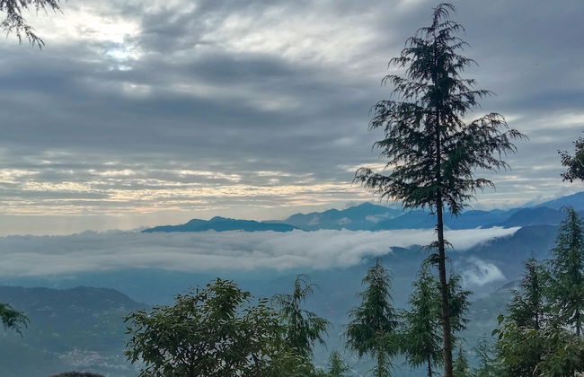 Eva Cabins - Photo 14