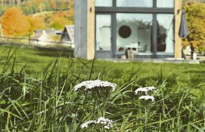 Pod Stromcem - Foto 5